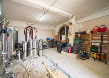 Foto 69 - Rustico Certaldo - foto 69