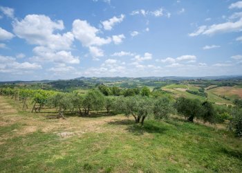 Foto 71 - Rustico Certaldo - foto 71