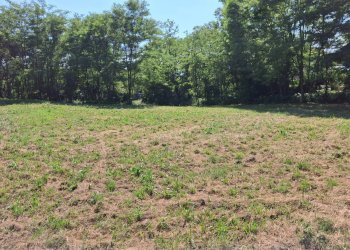 Foto 11 - Terreno edificabile VIA OLIVE, Laveno-Mombello - foto 11