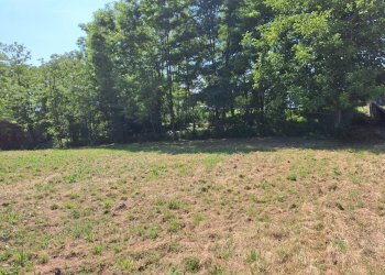 Foto 12 - Terreno edificabile VIA OLIVE, Laveno-Mombello - foto 12