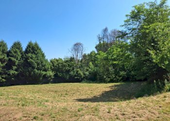 Foto 14 - Terreno edificabile VIA OLIVE, Laveno-Mombello - foto 14