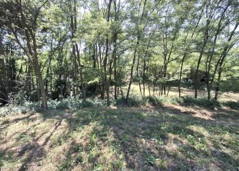 Foto 19 - Terreno edificabile VIA OLIVE, Laveno-Mombello - foto 19