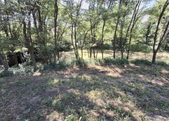 Foto 21 - Terreno edificabile VIA OLIVE, Laveno-Mombello - foto 21