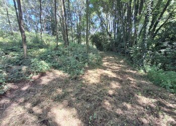 Foto 22 - Terreno edificabile VIA OLIVE, Laveno-Mombello - foto 22