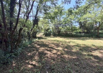 Foto 23 - Terreno edificabile VIA OLIVE, Laveno-Mombello - foto 23