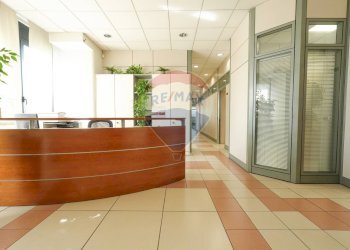 Ricezione / Lobby - Ufficio VIALE LOMBARDIA
 
218, Brugherio - foto 7
