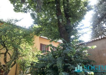 Foto 30 - Shop via Azzone Visconti
37, Monza - photo 30