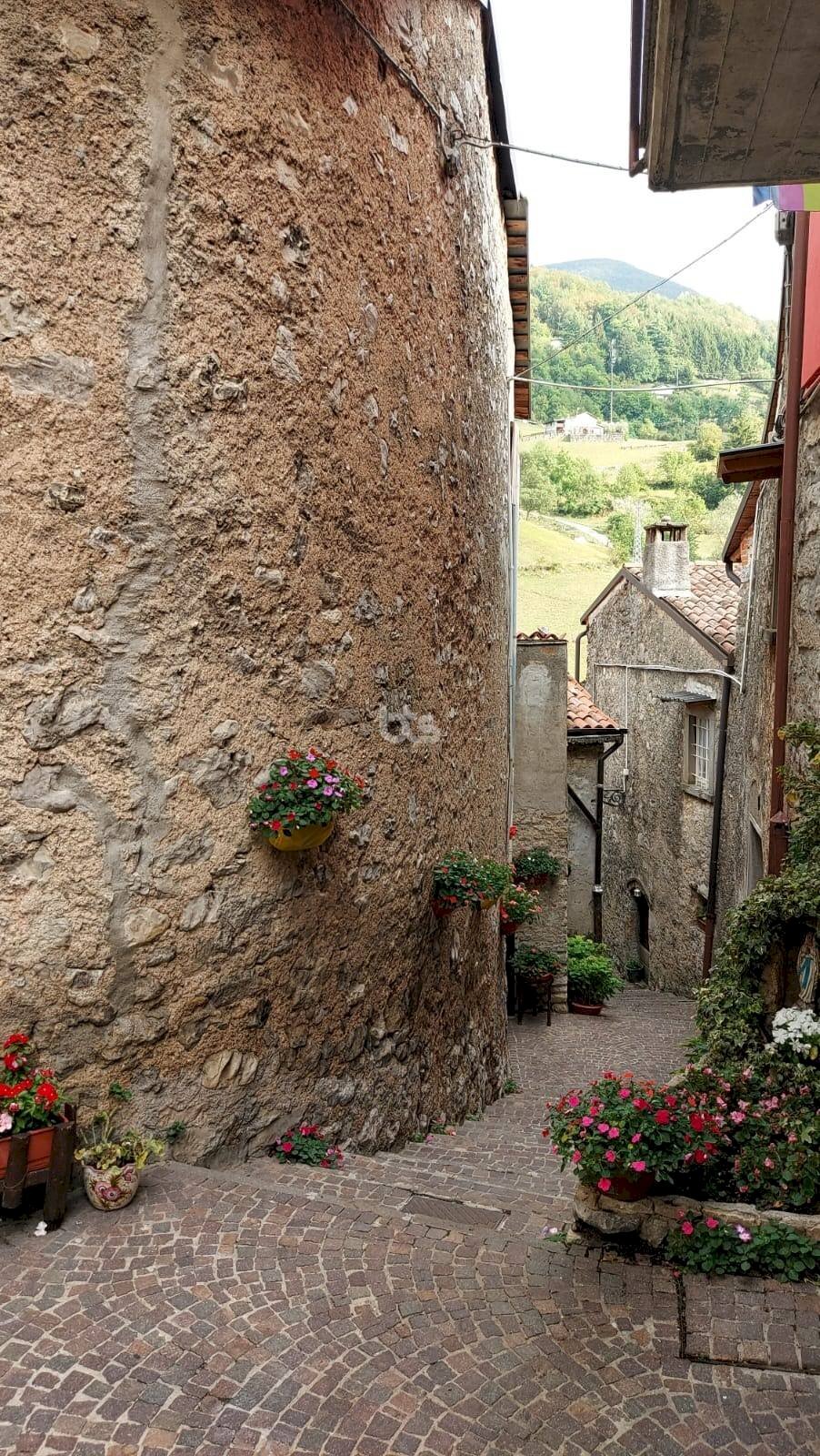 Foto 1 - Rustico via santa maria
 
1, Adrara San Rocco - foto 1