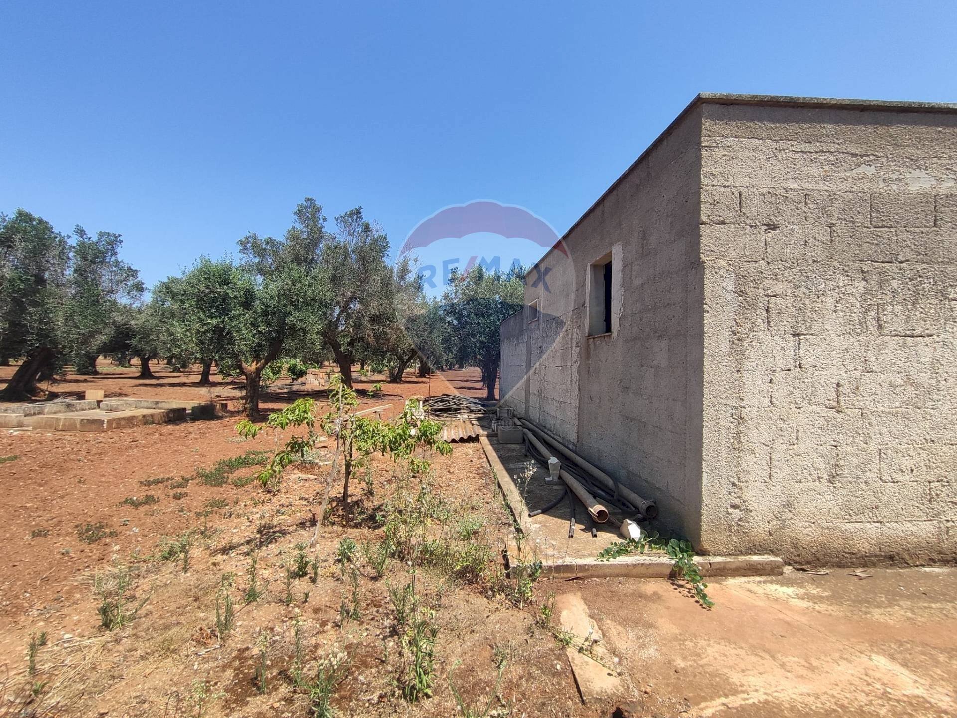 Giardino - Terreno agricolo Contrada Formica
 
snc, San Vito dei Normanni - foto 3
