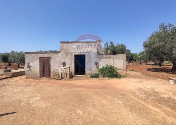 Casa all\'aperto - Terreno agricolo Contrada Formica
 
snc, San Vito dei Normanni - foto 1