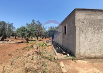 Giardino - Terreno agricolo Contrada Formica
 
snc, San Vito dei Normanni - foto 3