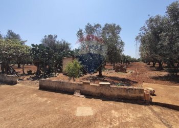 Giardino - Terreno agricolo Contrada Formica
 
snc, San Vito dei Normanni - foto 7