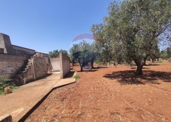 Giardino - Terreno agricolo Contrada Formica
 
snc, San Vito dei Normanni - foto 8