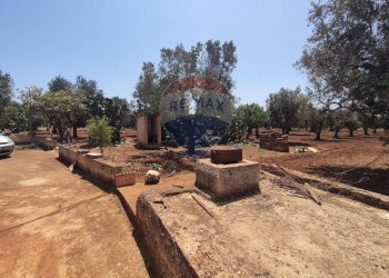 Giardino - Terreno agricolo Contrada Formica
 
snc, San Vito dei Normanni - foto 10