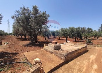 Giardino - Terreno agricolo Contrada Formica
 
snc, San Vito dei Normanni - foto 11