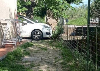 Foto 11 - Quadrilocale via provinciale, Crespina Lorenzana - foto 11