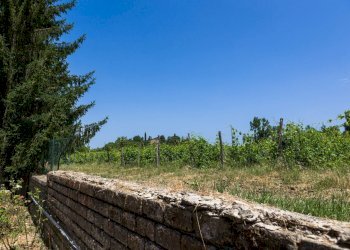 Foto 58 - Casa indipendente strada di san paolo
 
1, Castelnuovo Berardenga - foto 58