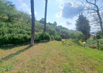 Terreno - Villa via di San Miniato, Signa - foto 8