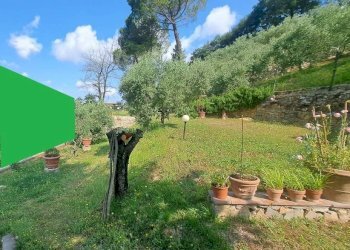 Giardino - Villa via di San Miniato, Signa - foto 10