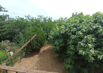 Terreno - Rustico Frazione Casabianca, 49, Asti - foto 21