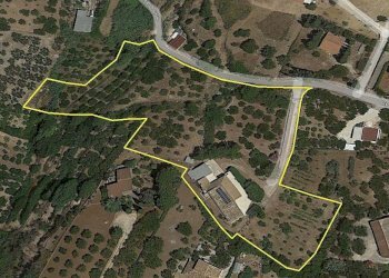 Mappa - Terreno edificabile contrada Marmora, Castellammare del Golfo - foto 2