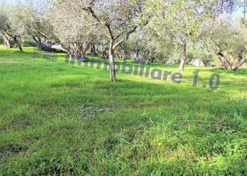 Terreno - Terreno edificabile contrada Marmora, Castellammare del Golfo - foto 3