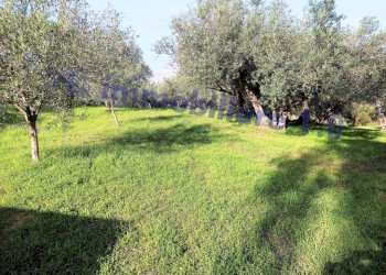 Terreno - Terreno edificabile contrada Marmora, Castellammare del Golfo - foto 4