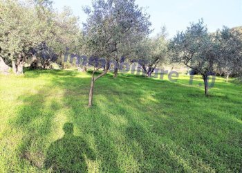 Terreno - Terreno edificabile contrada Marmora, Castellammare del Golfo - foto 5