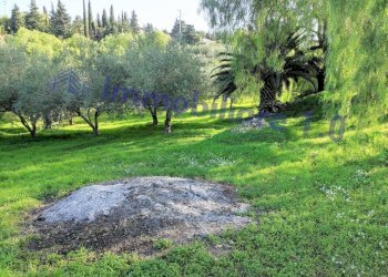 Terreno - Terreno edificabile contrada Marmora, Castellammare del Golfo - foto 6