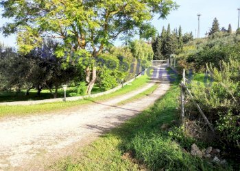 Terreno - Terreno edificabile contrada Marmora, Castellammare del Golfo - foto 7