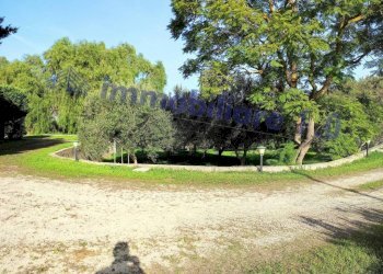 Terreno - Terreno edificabile contrada Marmora, Castellammare del Golfo - foto 8