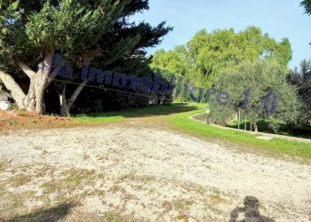 Terreno - Terreno edificabile contrada Marmora, Castellammare del Golfo - foto 9