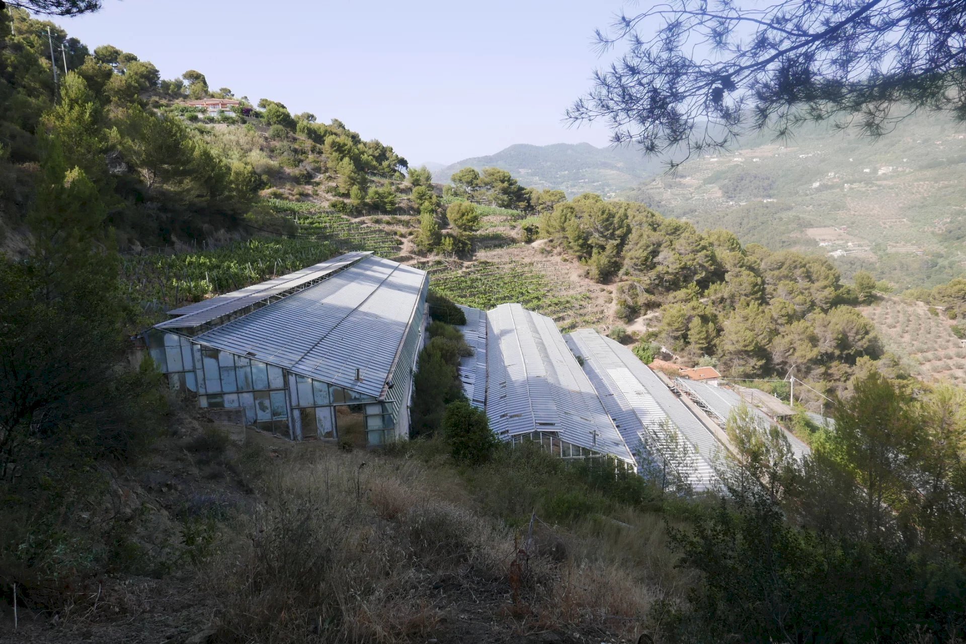 Villa Soldano - photo 1