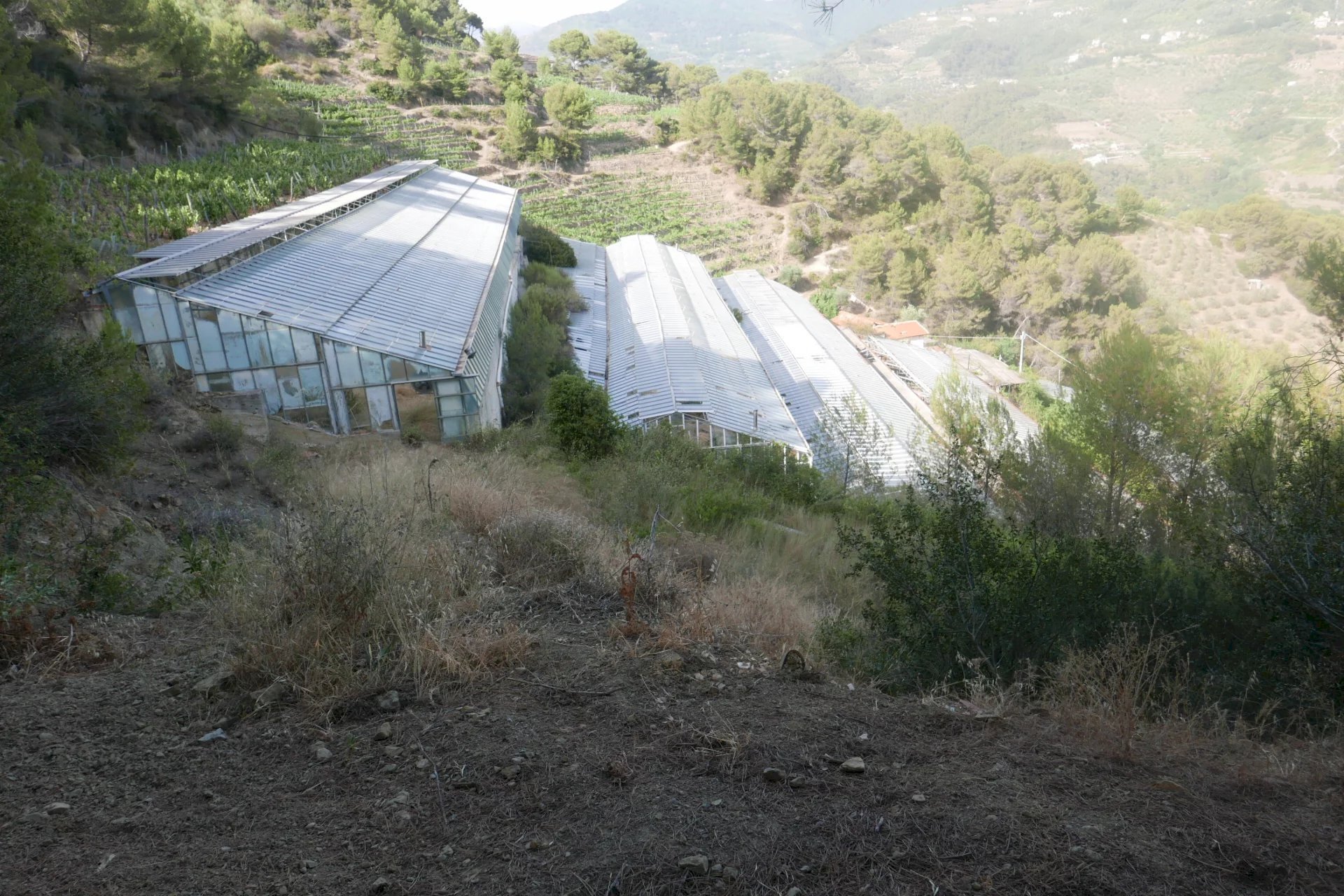 Villa Soldano - photo 2