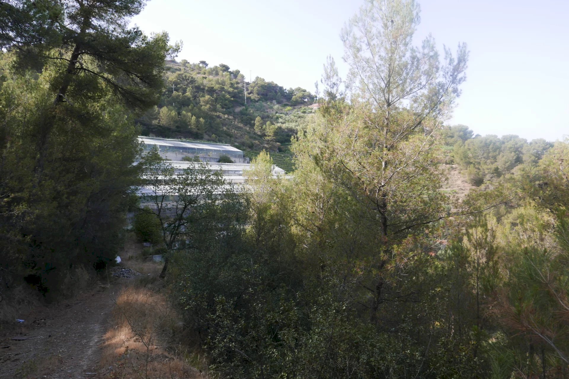 Villa Soldano - photo 3