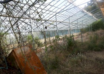 Villa Soldano - foto 8