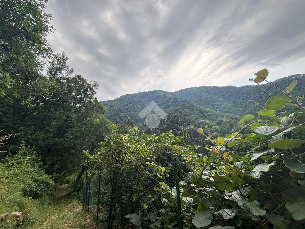 Terreno agricolo Via Del Maggiolo, Rapallo - foto 1