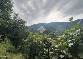 Terreno agricolo Via Del Maggiolo, Rapallo - foto 1