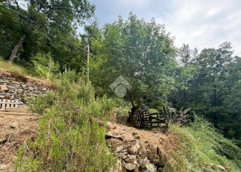 Terreno agricolo Via Del Maggiolo, Rapallo - foto 4
