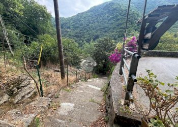 Terreno agricolo Via Del Maggiolo, Rapallo - foto 5