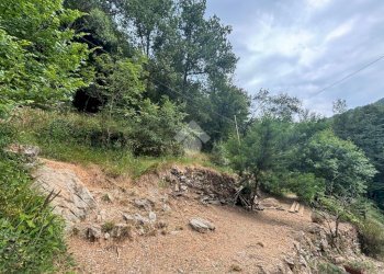 Terreno agricolo Via Del Maggiolo, Rapallo - foto 8