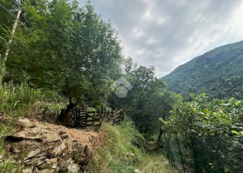 Terreno agricolo Via Del Maggiolo, Rapallo - foto 10