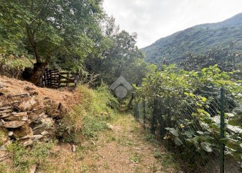 Terreno agricolo Via Del Maggiolo, Rapallo - foto 13