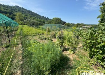 Casa semi indipendente San Sebastiano da Po - foto 7