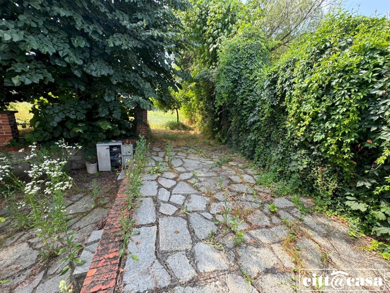 Villa Casalborgone - photo 3