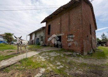 Rustic Via tetti chiaffredo, Arignano - photo 17