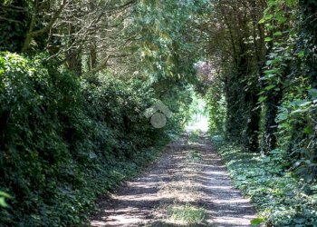 Villa Via dei cavi, Carpi - foto 4