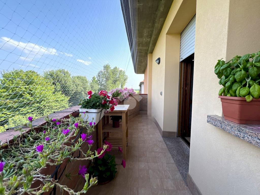 Three-room apartment Via sabbioni, Mirandola - photo 2