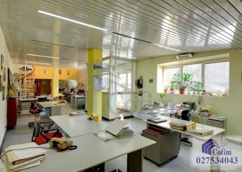 Ufficio Segrate - foto 2