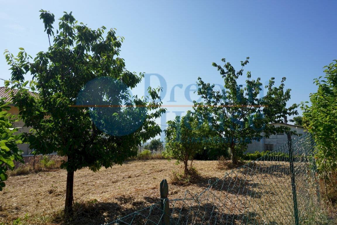 Foto 2 - Terreno edificabile CONTRADA GIARDINO, Colonnella - foto 2